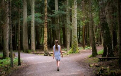 Are you Stuck or are you Adapting?